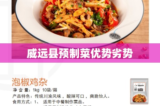 威远县预制菜优势劣势