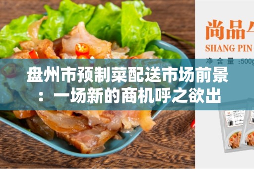 盘州市预制菜配送市场前景：一场新的商机呼之欲出
