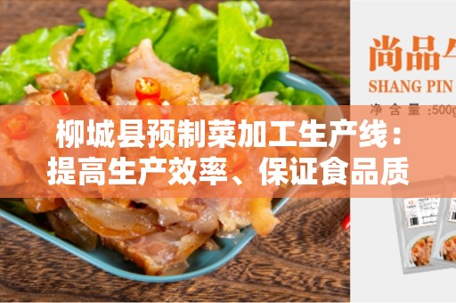 柳城县预制菜加工生产线：提高生产效率、保证食品质量的关键