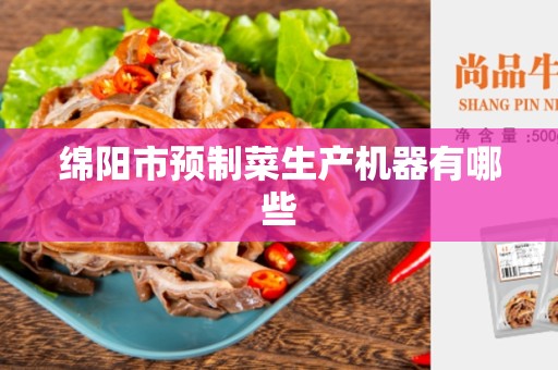 绵阳市预制菜生产机器有哪些