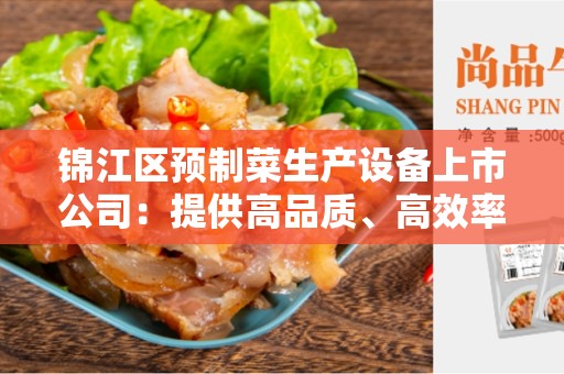 锦江区预制菜生产设备上市公司：提供高品质、高效率的解决方案