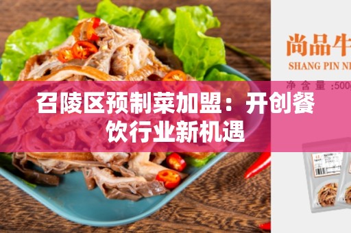 召陵区预制菜加盟：开创餐饮行业新机遇