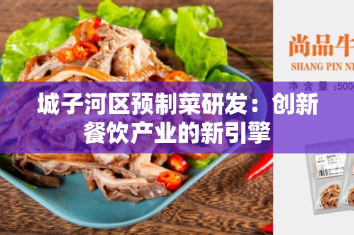 城子河区预制菜研发：创新餐饮产业的新引擎
