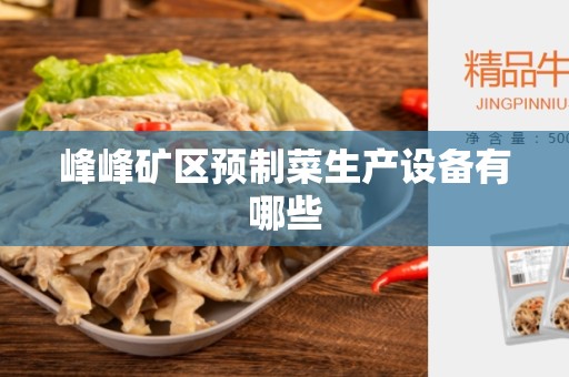 峰峰矿区预制菜生产设备有哪些