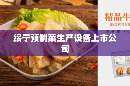 绥宁预制菜生产设备上市公司