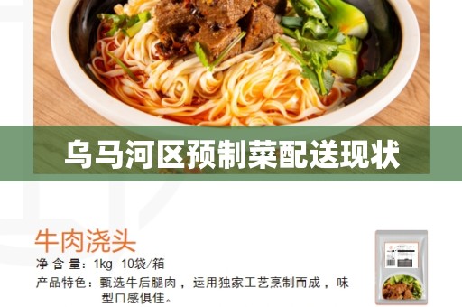 乌马河区预制菜配送现状