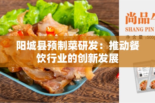阳城县预制菜研发：推动餐饮行业的创新发展