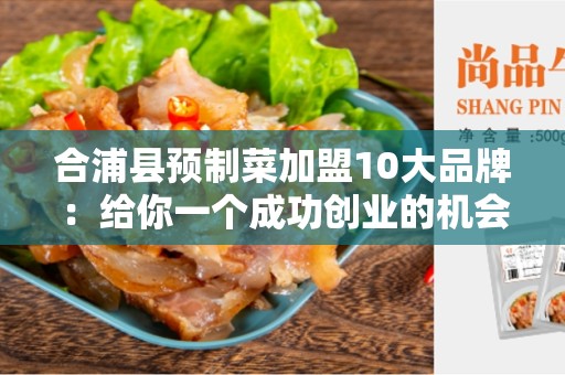 合浦县预制菜加盟10大品牌：给你一个成功创业的机会