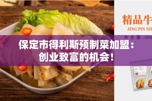 保定市得利斯预制菜加盟：创业致富的机会！