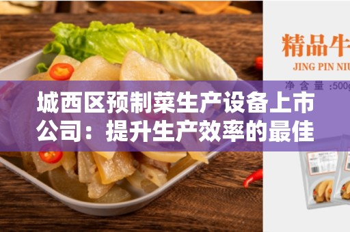 城西区预制菜生产设备上市公司：提升生产效率的最佳选择
