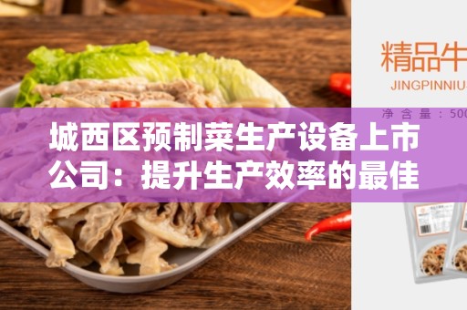 城西区预制菜生产设备上市公司：提升生产效率的最佳选择
