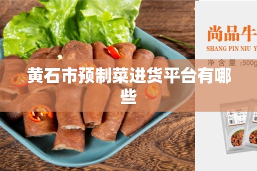 黄石市预制菜进货平台有哪些