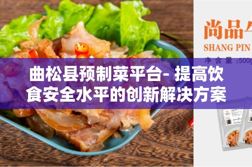 曲松县预制菜平台- 提高饮食安全水平的创新解决方案