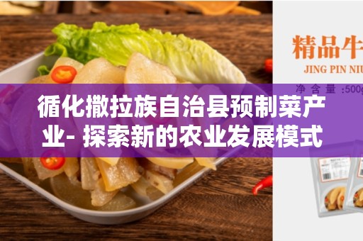 循化撒拉族自治县预制菜产业- 探索新的农业发展模式