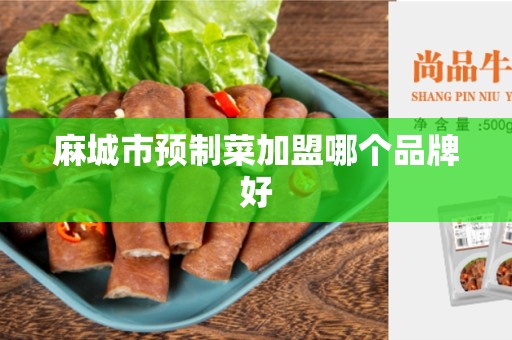 麻城市预制菜加盟哪个品牌好