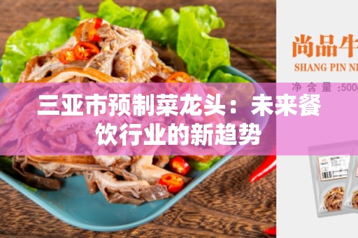 三亚市预制菜龙头：未来餐饮行业的新趋势