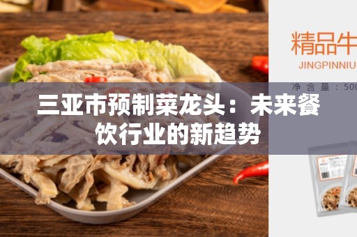 三亚市预制菜龙头：未来餐饮行业的新趋势
