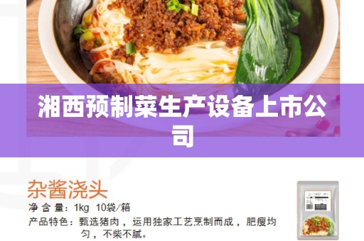 湘西预制菜生产设备上市公司