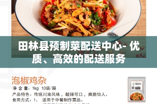 田林县预制菜配送中心- 优质、高效的配送服务