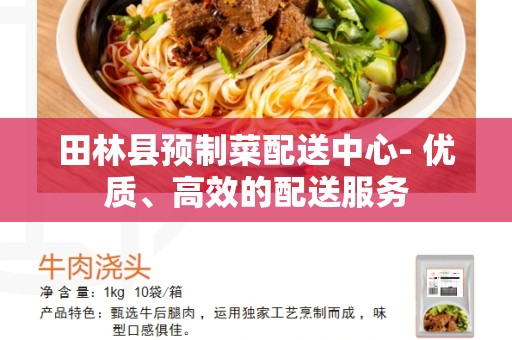 田林县预制菜配送中心- 优质、高效的配送服务