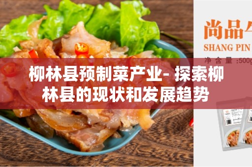 柳林县预制菜产业- 探索柳林县的现状和发展趋势