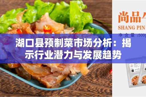 湖口县预制菜市场分析：揭示行业潜力与发展趋势