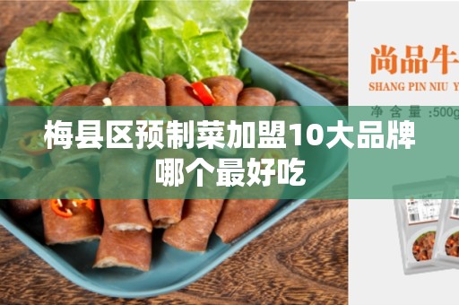梅县区预制菜加盟10大品牌哪个最好吃