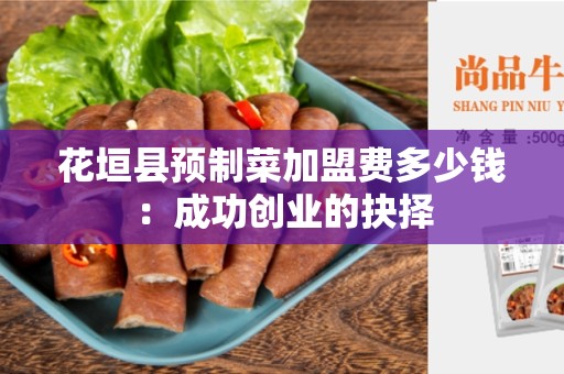 花垣县预制菜加盟费多少钱：成功创业的抉择