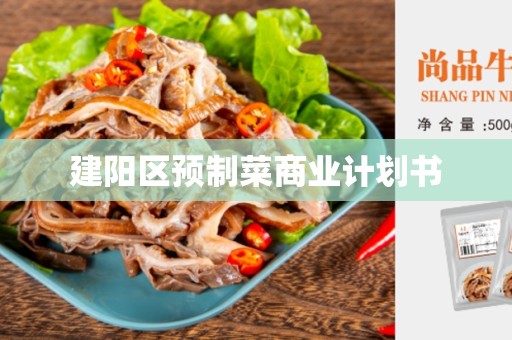 建阳区预制菜商业计划书