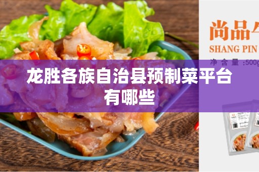 龙胜各族自治县预制菜平台有哪些