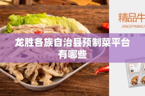 龙胜各族自治县预制菜平台有哪些
