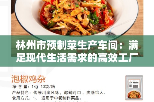 林州市预制菜生产车间：满足现代生活需求的高效工厂