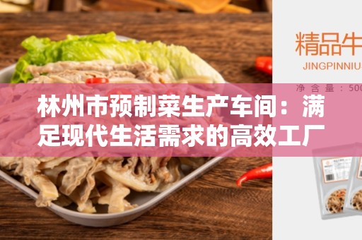 林州市预制菜生产车间：满足现代生活需求的高效工厂