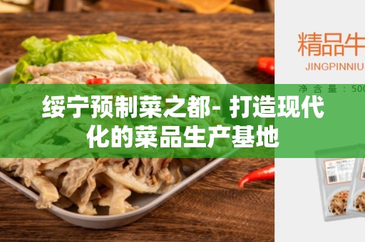 绥宁预制菜之都- 打造现代化的菜品生产基地
