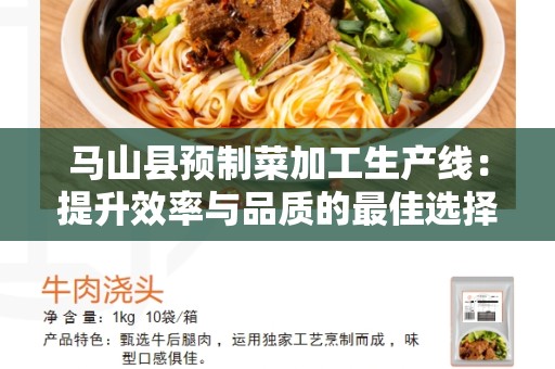马山县预制菜加工生产线：提升效率与品质的最佳选择