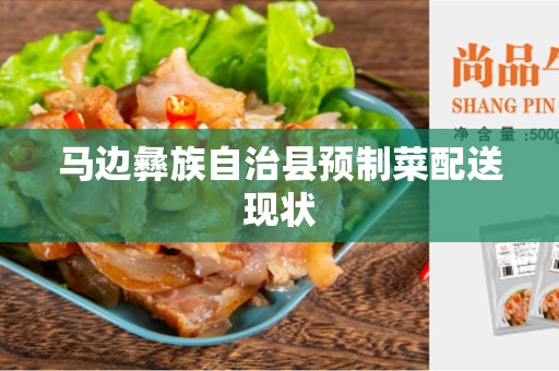 马边彝族自治县预制菜配送现状