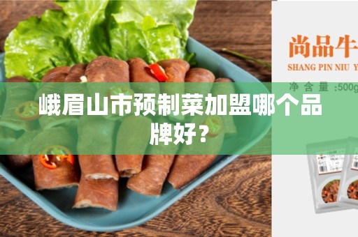 峨眉山市预制菜加盟哪个品牌好？