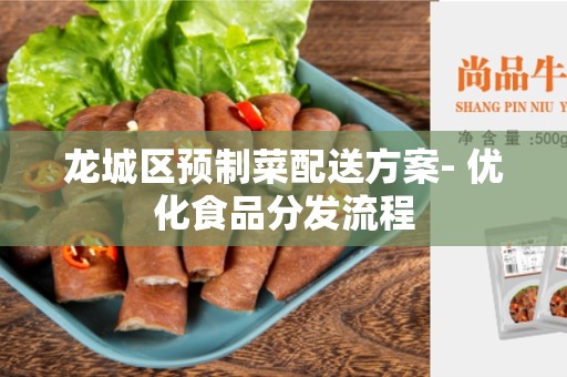 龙城区预制菜配送方案- 优化食品分发流程