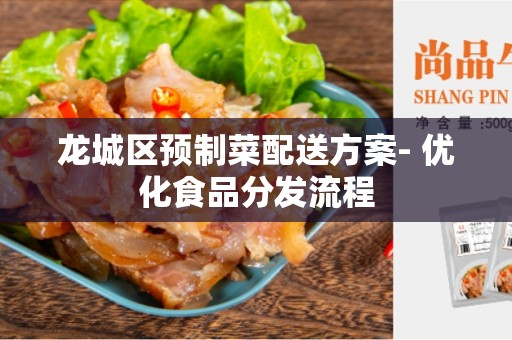 龙城区预制菜配送方案- 优化食品分发流程