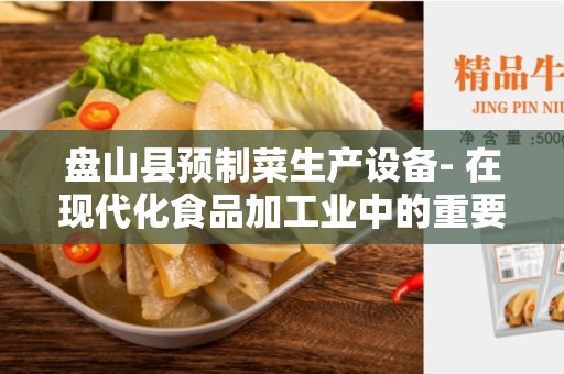 盘山县预制菜生产设备- 在现代化食品加工业中的重要性