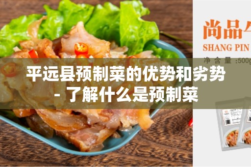 平远县预制菜的优势和劣势- 了解什么是预制菜