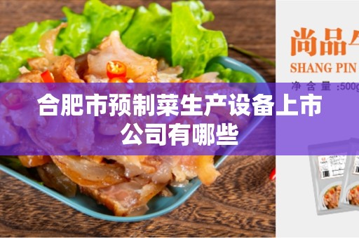 合肥市预制菜生产设备上市公司有哪些