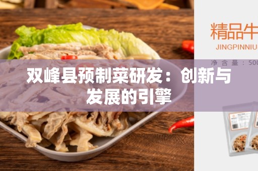 双峰县预制菜研发：创新与发展的引擎