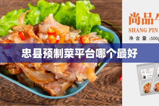 忠县预制菜平台哪个最好
