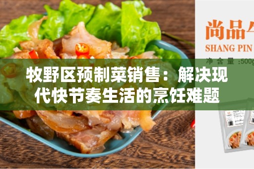 牧野区预制菜销售：解决现代快节奏生活的烹饪难题