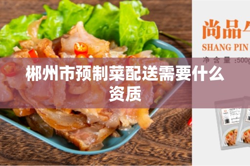 郴州市预制菜配送需要什么资质