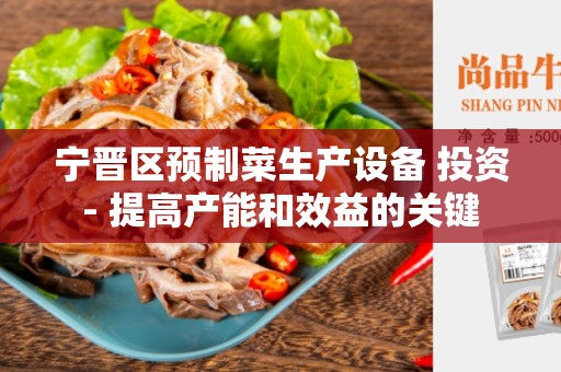 宁晋区预制菜生产设备 投资- 提高产能和效益的关键
