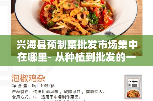 兴海县预制菜批发市场集中在哪里- 从种植到批发的一站式服务
