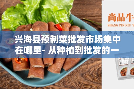 兴海县预制菜批发市场集中在哪里- 从种植到批发的一站式服务