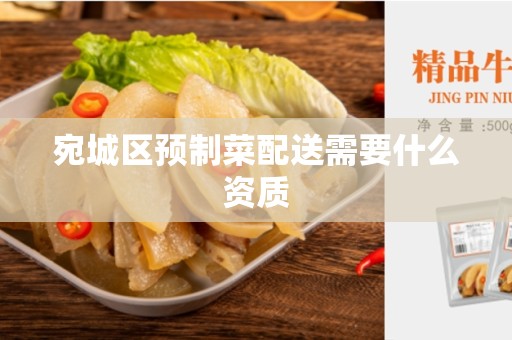 宛城区预制菜配送需要什么资质